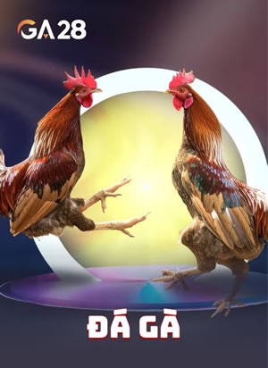 Hilo Card